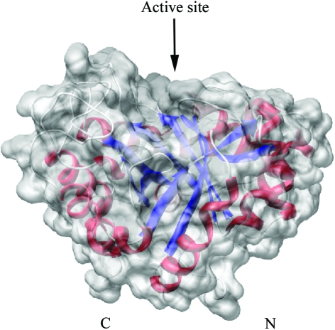 Figure 5