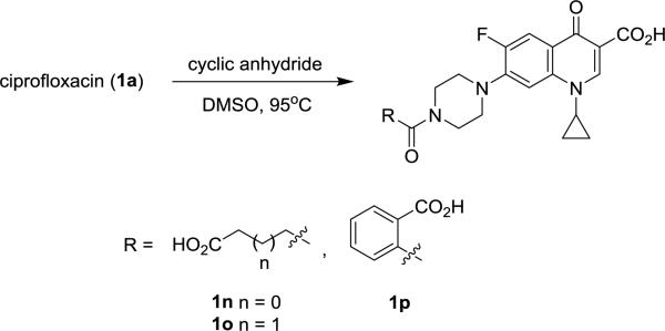 Scheme 1