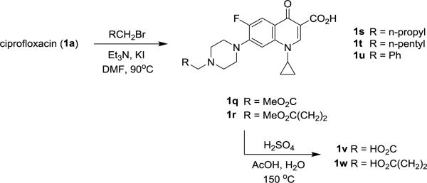 Scheme 2