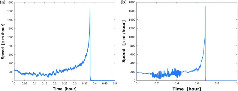 Fig. 8