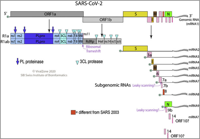 Fig. 2