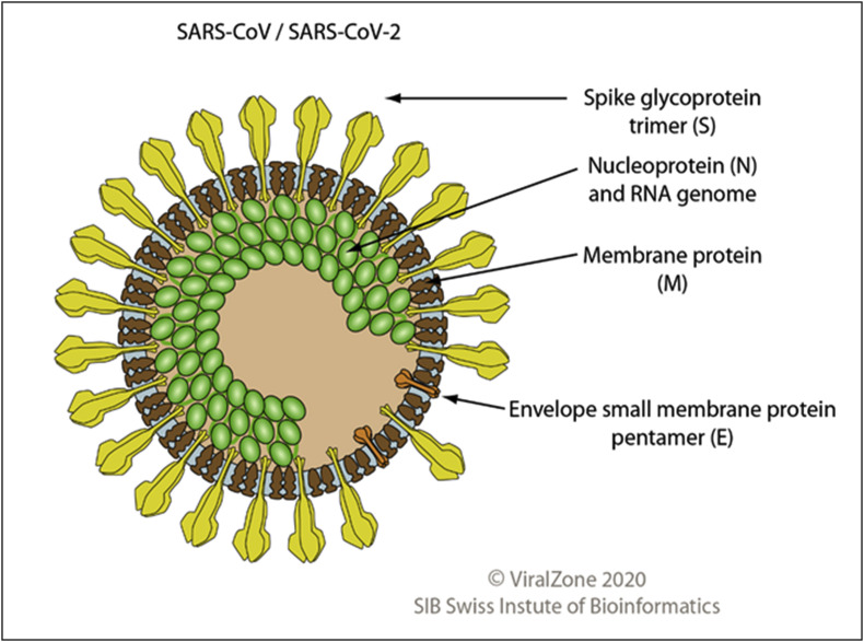 Fig. 1