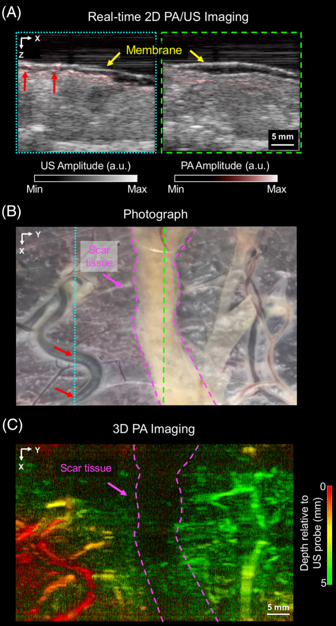 Figure 6