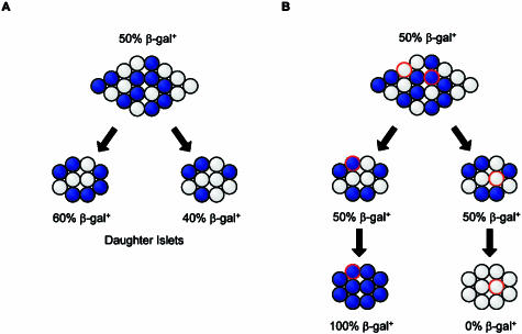 Fig. 12