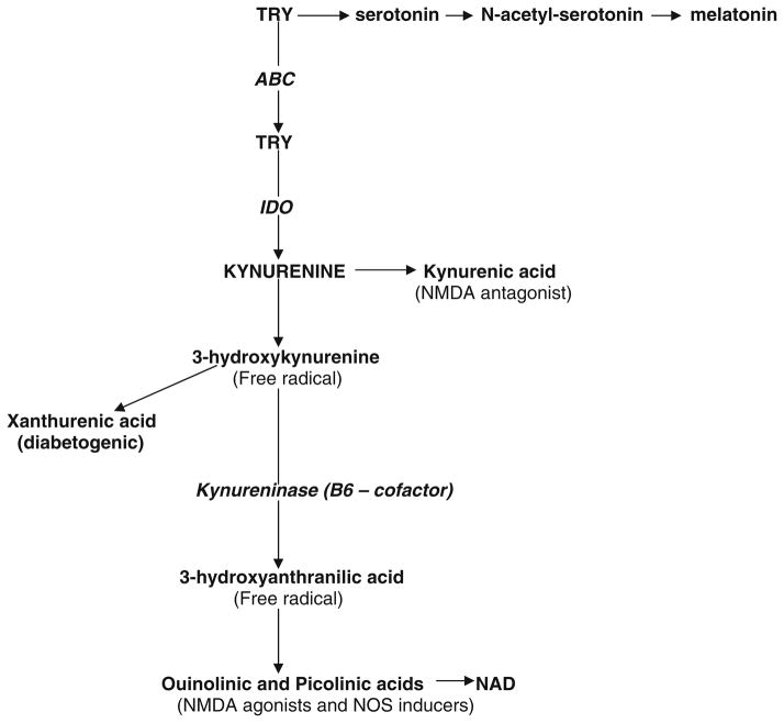 Fig. 2