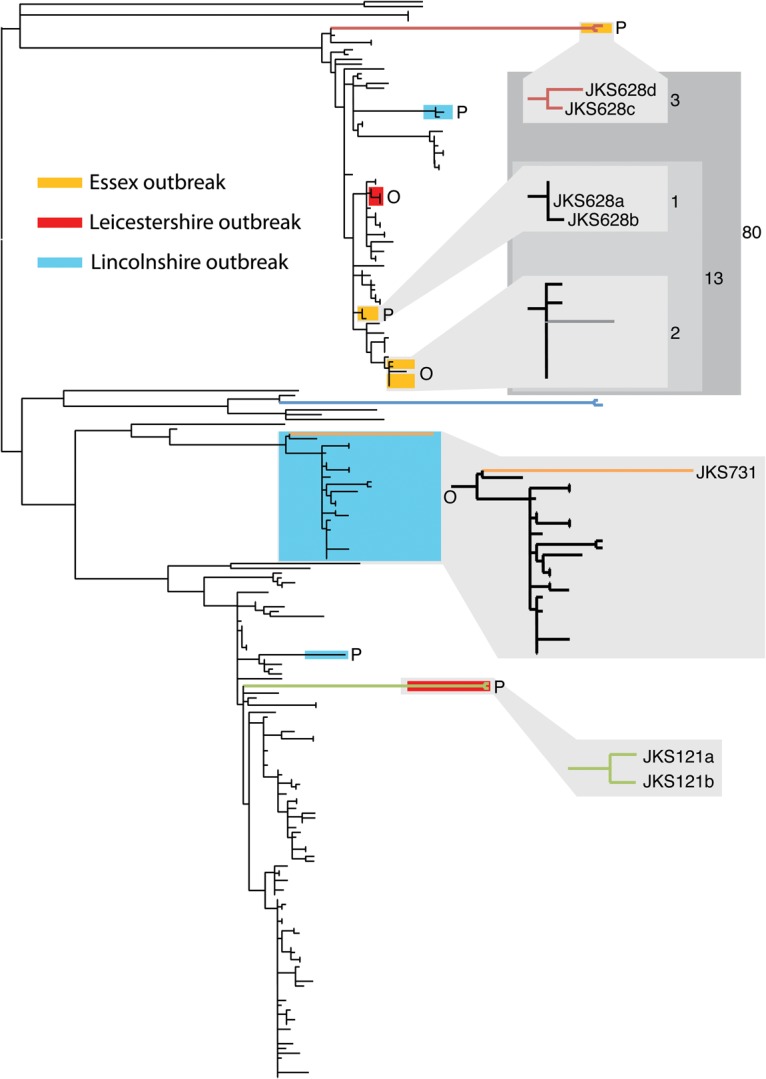 Figure 2.