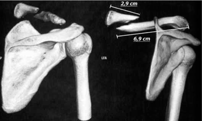 Figure 3b