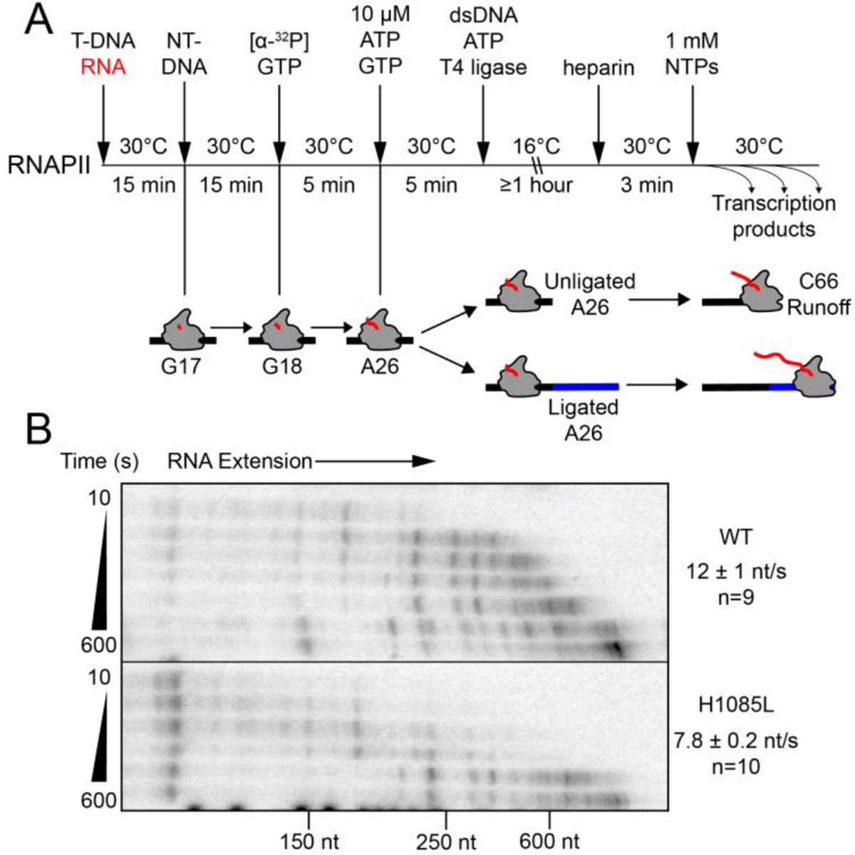 Figure 2.