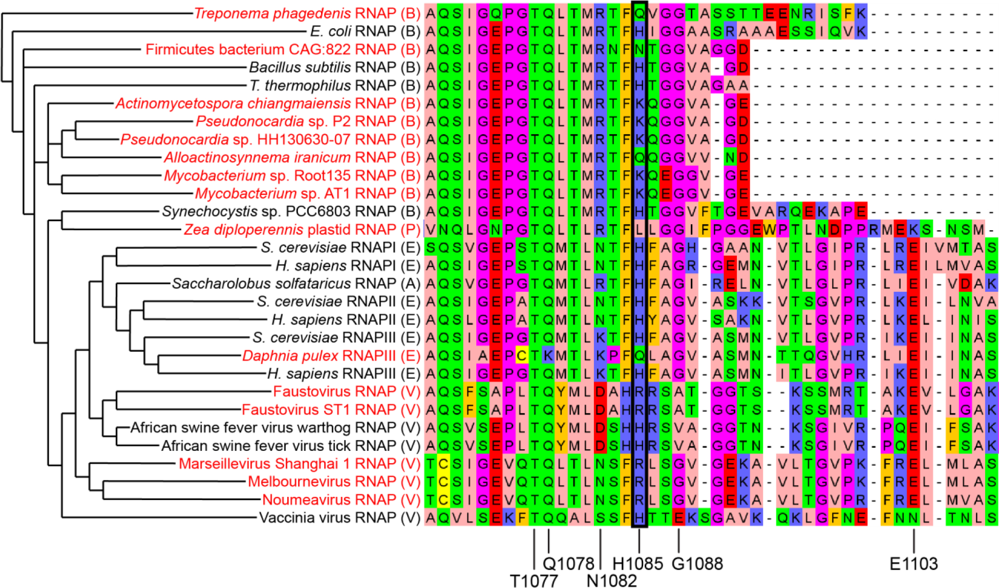 Figure 6.