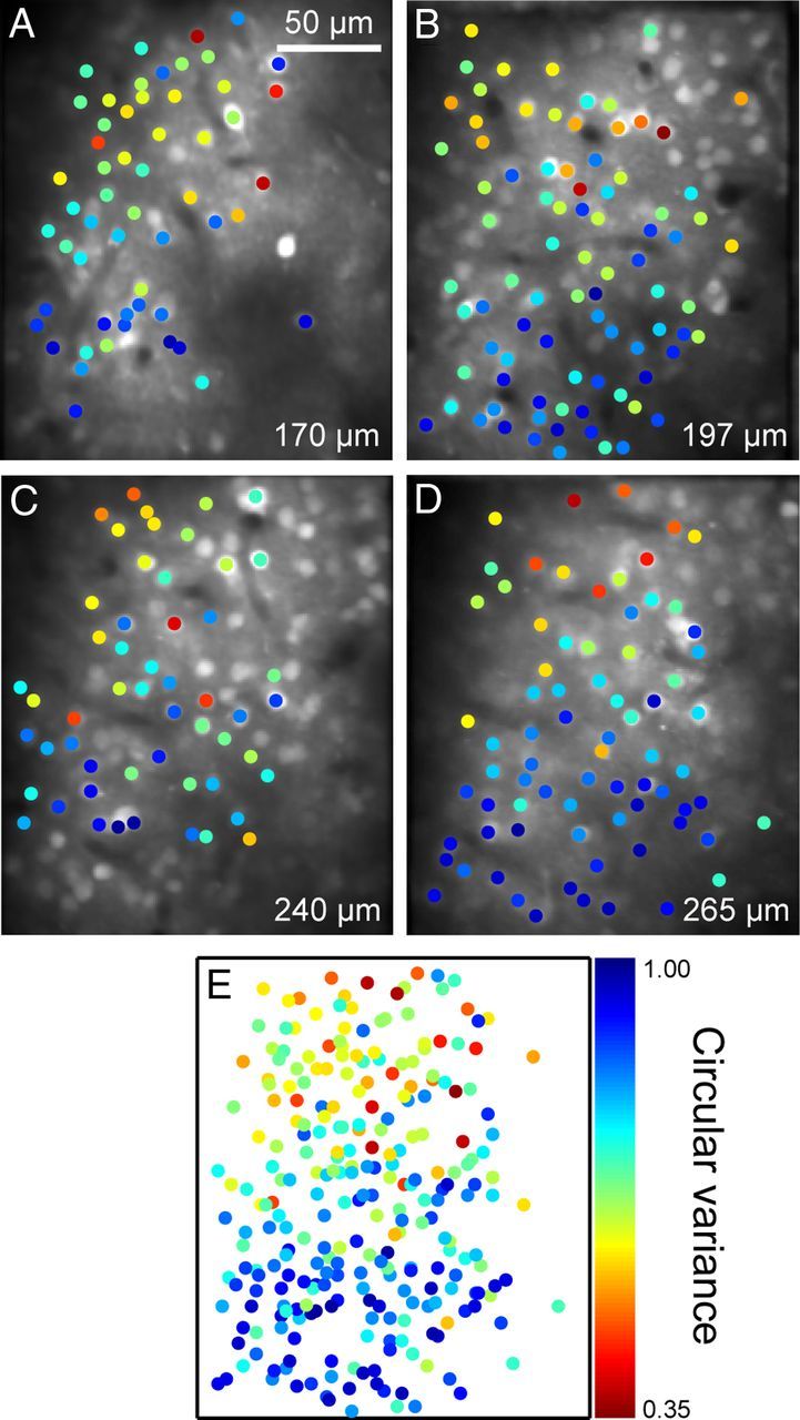 Figure 6.