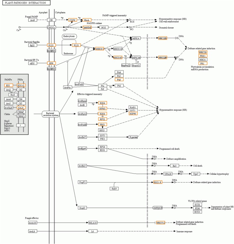 Fig. 11