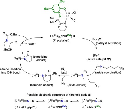 Scheme 7