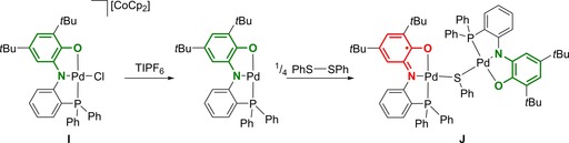 Scheme 4