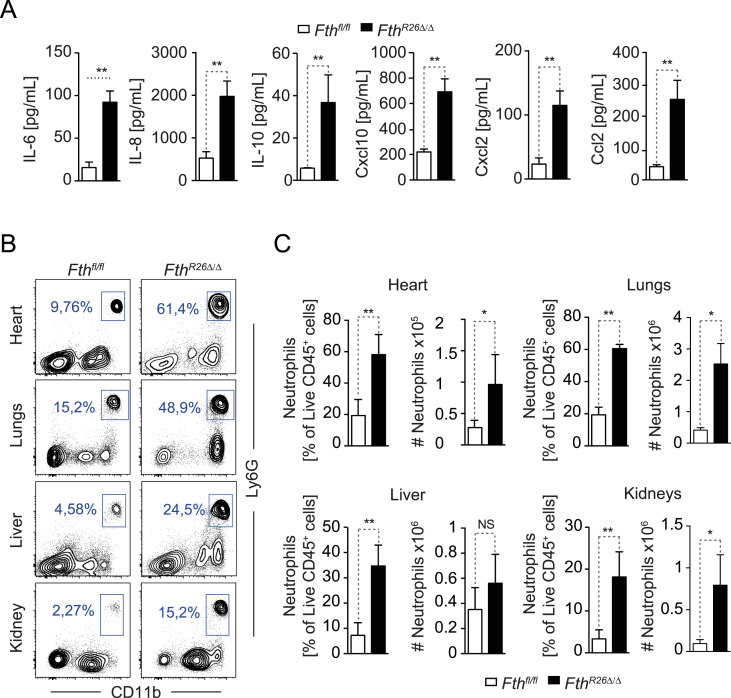 Figure 3