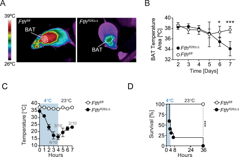 Figure 6