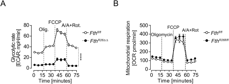 figs4