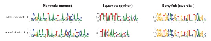 Figure 1—figure supplement 5.