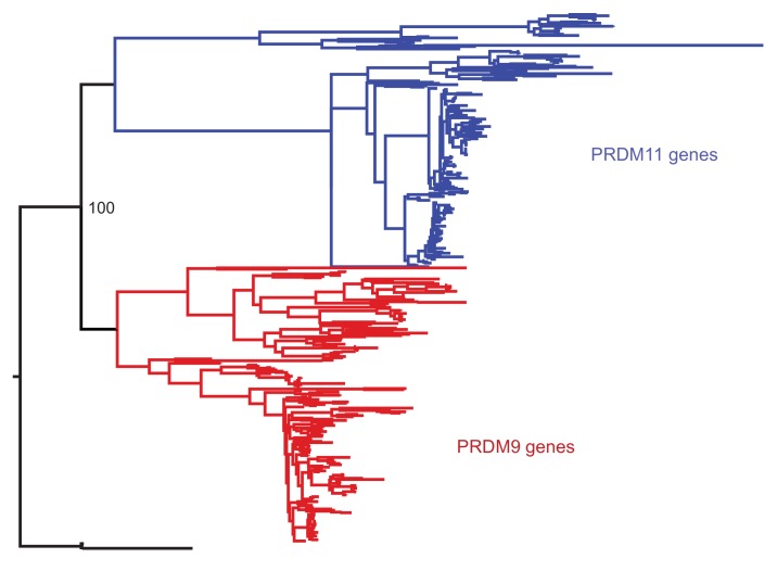 Figure 1—figure supplement 1.