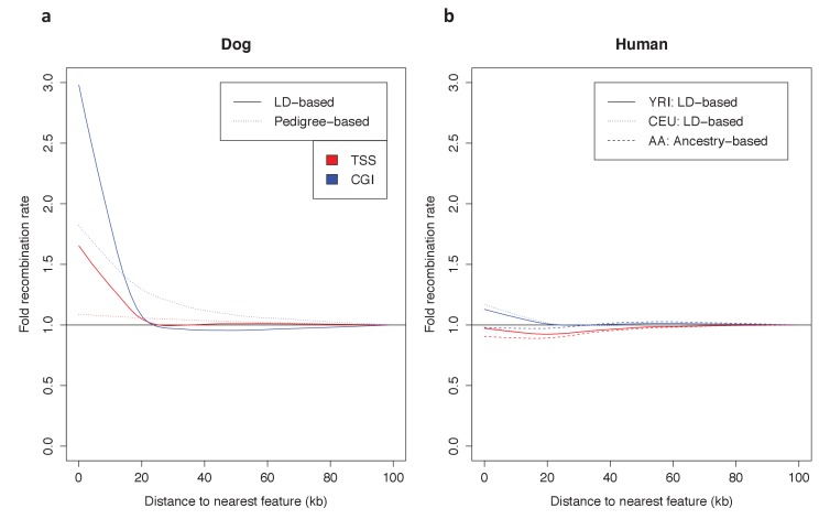 Figure 5—figure supplement 1.