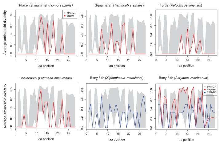 Figure 1—figure supplement 4.