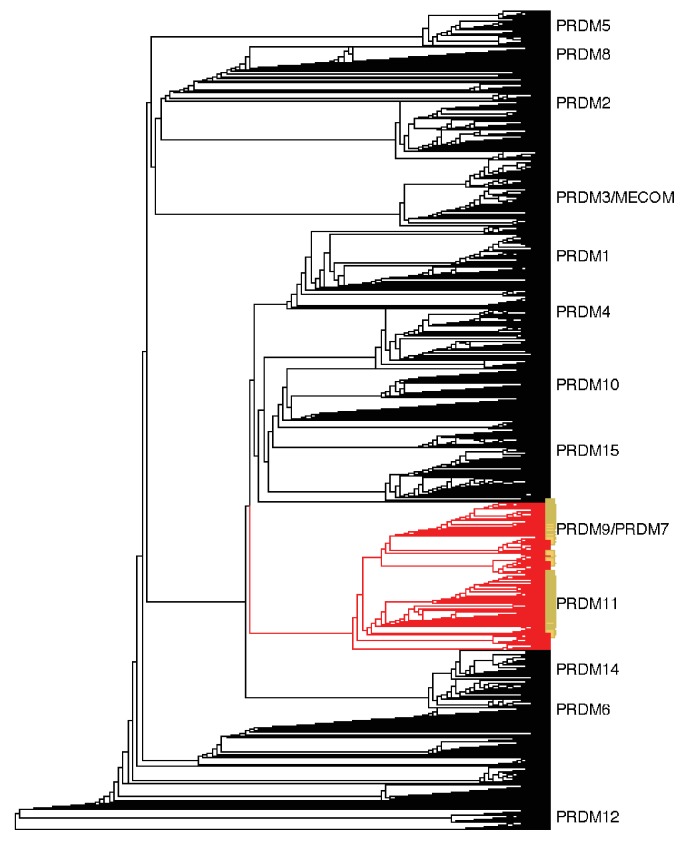 Figure 1—figure supplement 2.