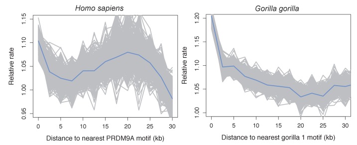 Figure 4—figure supplement 3.