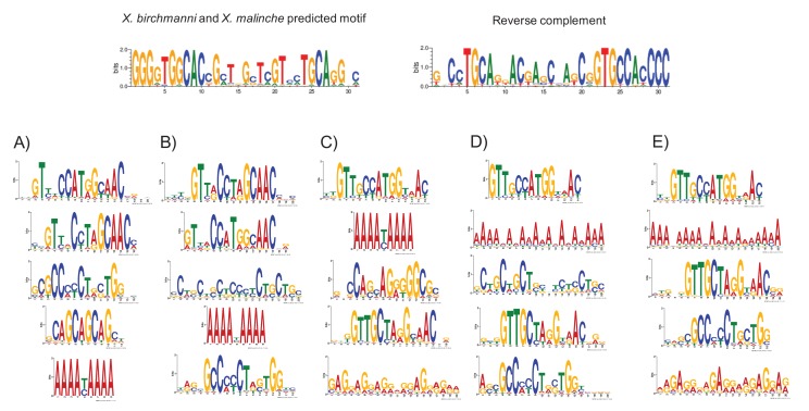 Figure 4—figure supplement 5.