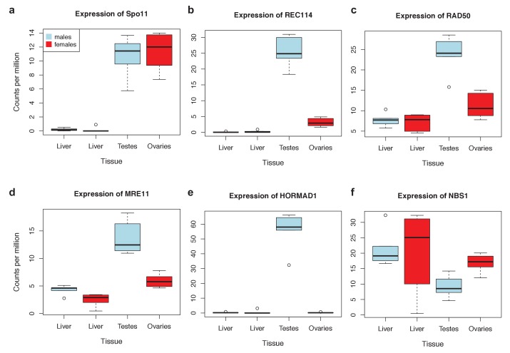 Figure 4—figure supplement 1.