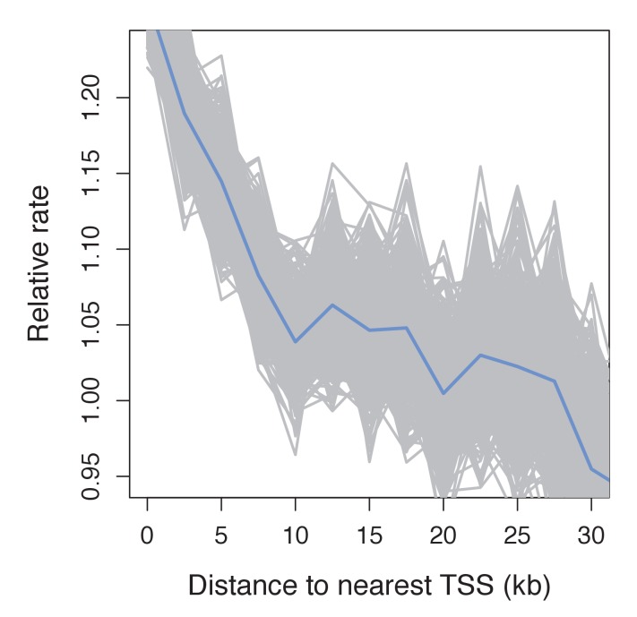 Figure 4—figure supplement 2.