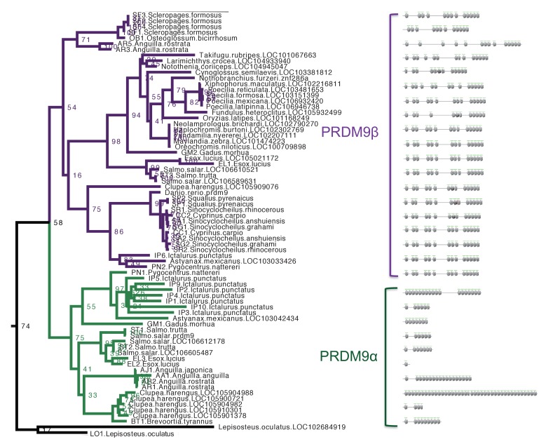 Figure 2—figure supplement 1.