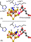 Figure 20