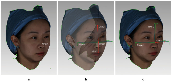 Fig. 2