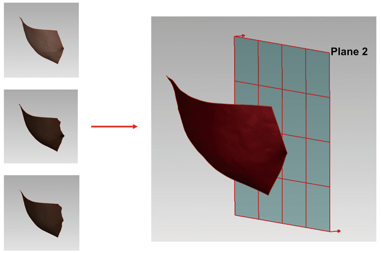 Fig. 4