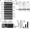 FIG 3