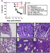 FIG 6