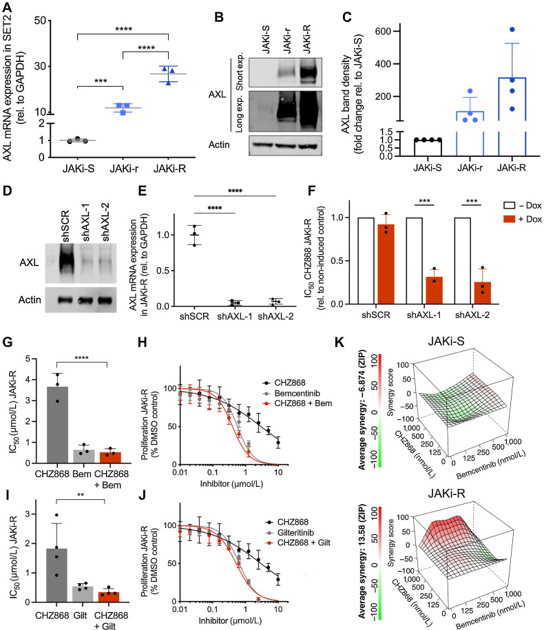 Figure 3. Acquired resistance to type II JAK2 inhibition is dependent on AXL tyrosine kinase. A, AXL mRNA expression was significantly increased in JAK inhibitor resistant (JAKi-r and JAKi-R) vs. sensitive cells (JAKi-S) relative to GAPDH (n = 3) consistent with RNA-seq (Fig. 2A). B and C, Increased AXL expression in JAKi resistant cells (JAKi-r and JAKi-R) was confirmed on protein level as indicated by immunoblotting (B) and respective densitometry (C; n = 4). D, Reduced AXL protein expression shown by immunoblotting upon shRNA-induced AXL knock-down with shAXL-1 and shAXL-2 hairpins vs. shSCR control in JAKi-R SET2 cells 48 hours after doxycycline induction. E, Significantly reduced AXL mRNA expression shown by qRT-PCR upon shRNA-induced AXL knock-down with shAXL-1 and shAXL-2 hairpins vs. shSCR control in JAKi-R SET2 cells 48 hours after doxycycline induction (n = 3). F, Significantly increased susceptibility of JAKi-R SET2 cells to type II JAK2 inhibition with CHZ868 as shown by reduced IC50 upon AXL depletion by two different shRNAs (shAXL-1, shAXL-2) upon doxycycline induction (+dox) as compared with shSCR control. Non-induced control (-dox), n = 3. G, Significantly reduced IC50 values in JAKi-R SET2 cells were achieved upon combined exposure with the AXL inhibitor bemcentinib and type II JAK2 inhibition with CHZ868 (n = 3). H, Representative graph showing reduced proliferation of JAKi-R SET2 cells exposed to the AXL inhibitor bemcentinib or combined JAK2 / AXL inhibition with CHZ868 / bemcentinib as compared with CHZ868 as a single agent. I, Significantly reduced IC50 values in JAKi-R SET2 cells were achieved upon combined exposure with the AXL/FLT3 inhibitor gilteritinib and type II JAK2 inhibition with CHZ868 (n = 4). J, Representative graph showing reduced proliferation of JAKi-R SET2 cells exposed to the AXL/FLT3 inhibitor gilteritinib or combined JAK2 / AXL inhibition with CHZ868 / gilteritinib as compared with CHZ868 as a single agent. K, Synergy analysis of type II JAK2 inhibitor CHZ868 with the AXL inhibitor bemcentinib in JAKi-S (upper panel) and JAKi-R (lower panel) SET2 cells showed positive synergy in JAKi-R cells, but not in JAKi-S cells (n = 3, mean values are shown for synergy scores along with representative graphs). Data are presented as mean ± SD and analyzed by one-way ANOVA (panels A, G, I) or two-tailed Student t test (F). ns, not significant; *, P ≤ 0.05; **, P ≤ 0.01; ***, P ≤ 0.001; ****, P ≤ 0.0001.