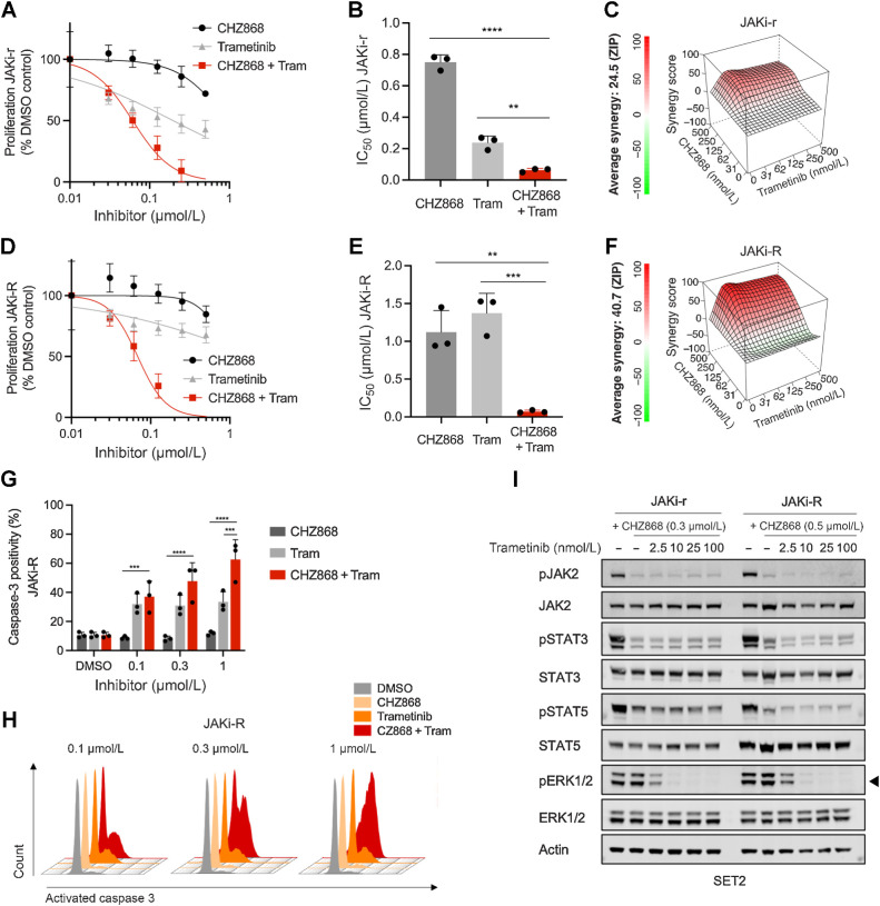 Figure 5. Targeting MAPK pathway abrogates acquired resistance to type II JAK2 inhibition in MPN cells. A, Proliferation of JAKi-r SET2 cells was effectively inhibited by combined JAK2/MAPK pathway inhibition with CHZ868/trametinib as shown by a representative graph of proliferation capacity upon 48 hours exposure of inhibitor exposure. B, IC50 was significantly reduced by combined CHZ868/trametinib in JAKi-r cells (n = 3). C, Synergy analysis of type II JAK2 inhibition with CHZ868 and MAPK pathway inhibition with trametinib showed positive synergy in JAKi-r cells. Mean of n = 3 experiments is shown for synergy score along with a representative graph D. Proliferation of JAKi-R SET2 cells was effectively inhibited by combined JAK2/MAPK pathway inhibition with CHZ868/trametinib as shown by a representative graph of proliferation capacity upon 48 hours of inhibitor exposure. E, IC50 was significantly reduced by combined CHZ868/trametinib in JAKi-R cells (n = 3). F, Synergy analysis of type II JAK2 inhibition with CHZ868 and MAPK pathway inhibition with trametinib showed positive synergy in JAKi-R cells. Mean of n = 3 experiments is shown for synergy score along with a representative graph G. Apoptotic cell death reflected by positivity for caspase-3 was induced by combined JAK2 / MAPK pathway inhibition by CHZ868/trametinib in JAKi-R cells upon 48 hours exposure to inhibitors (n = 3–4). H, Representative histograms of caspase-3 positivity in JAKi-R cells are shown. I, Immunoblotting showed dose-dependent suppression of MAPK pathway signaling reflected by pERK1/2 (arrowhead) in JAKi-r and JAKi-R SET2 cells upon exposure to increasing concentrations of trametinib combined with CHZ868. Data are presented as mean ± SD and analyzed by one-way ANOVA. ns, not significant; *, P ≤ 0.05; **, P ≤ 0.01; ***, P ≤ 0.001; ****, P ≤ 0.0001.