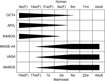 Figure 9: