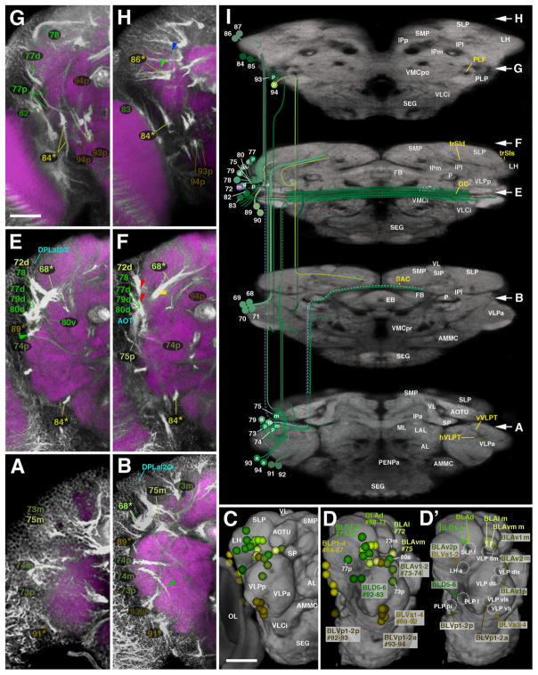 Fig. 13