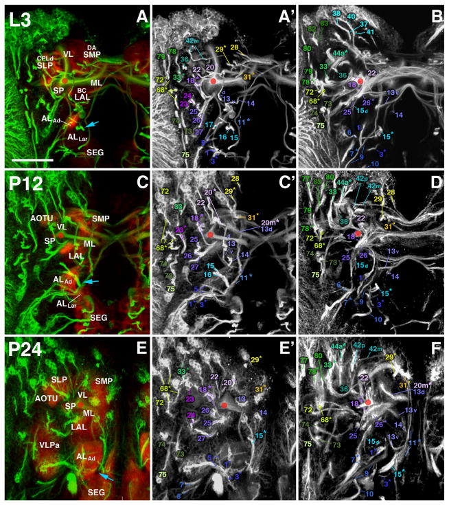 Fig. 8