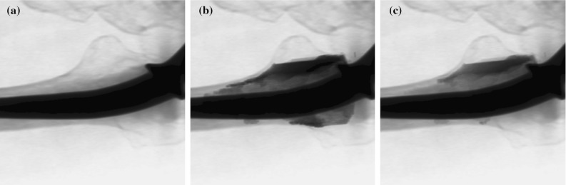 Fig. 8