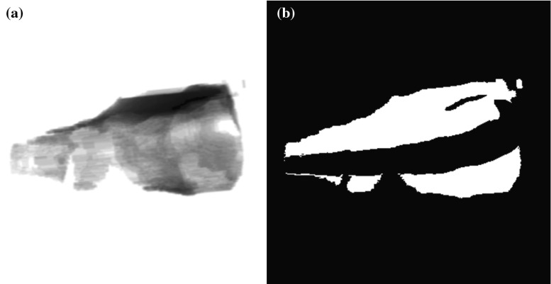 Fig. 13