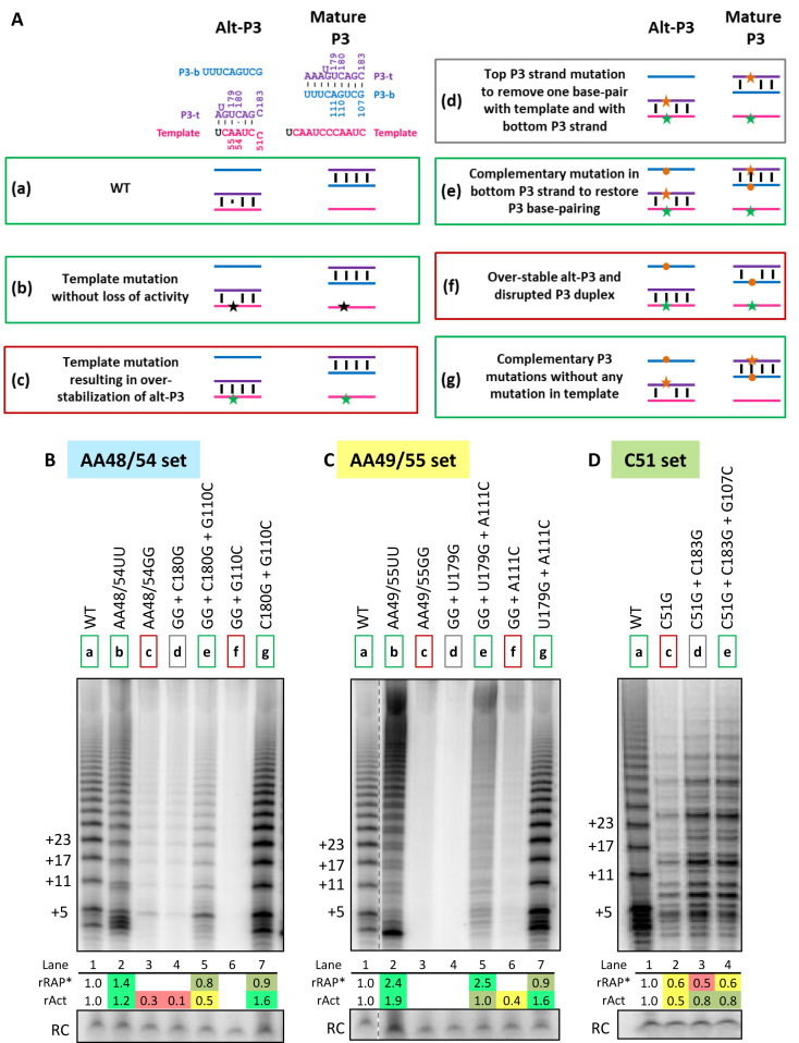 Figure 4.