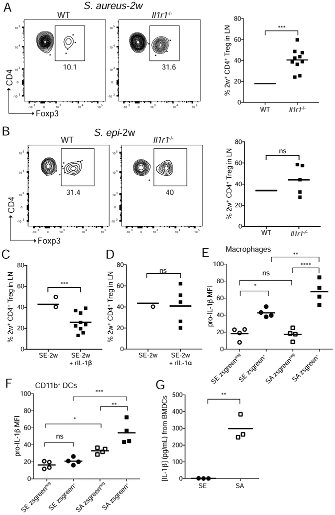 Figure 6: