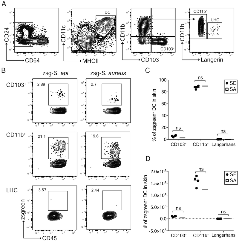 Figure 3: