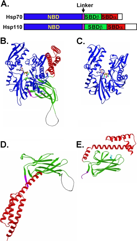 FIGURE 1.