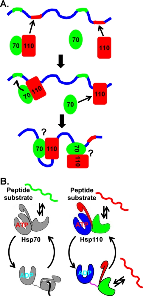 FIGURE 7.