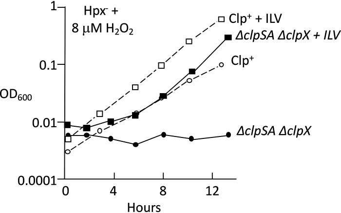 FIG 7