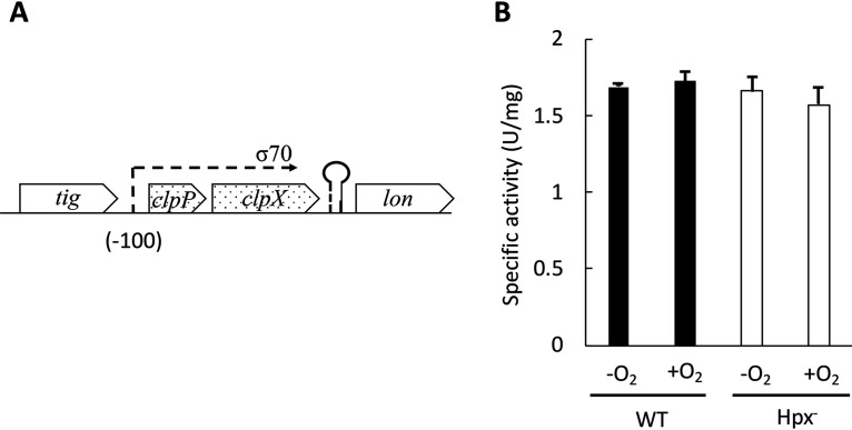 FIG 2