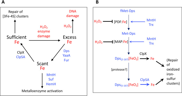 FIG 12